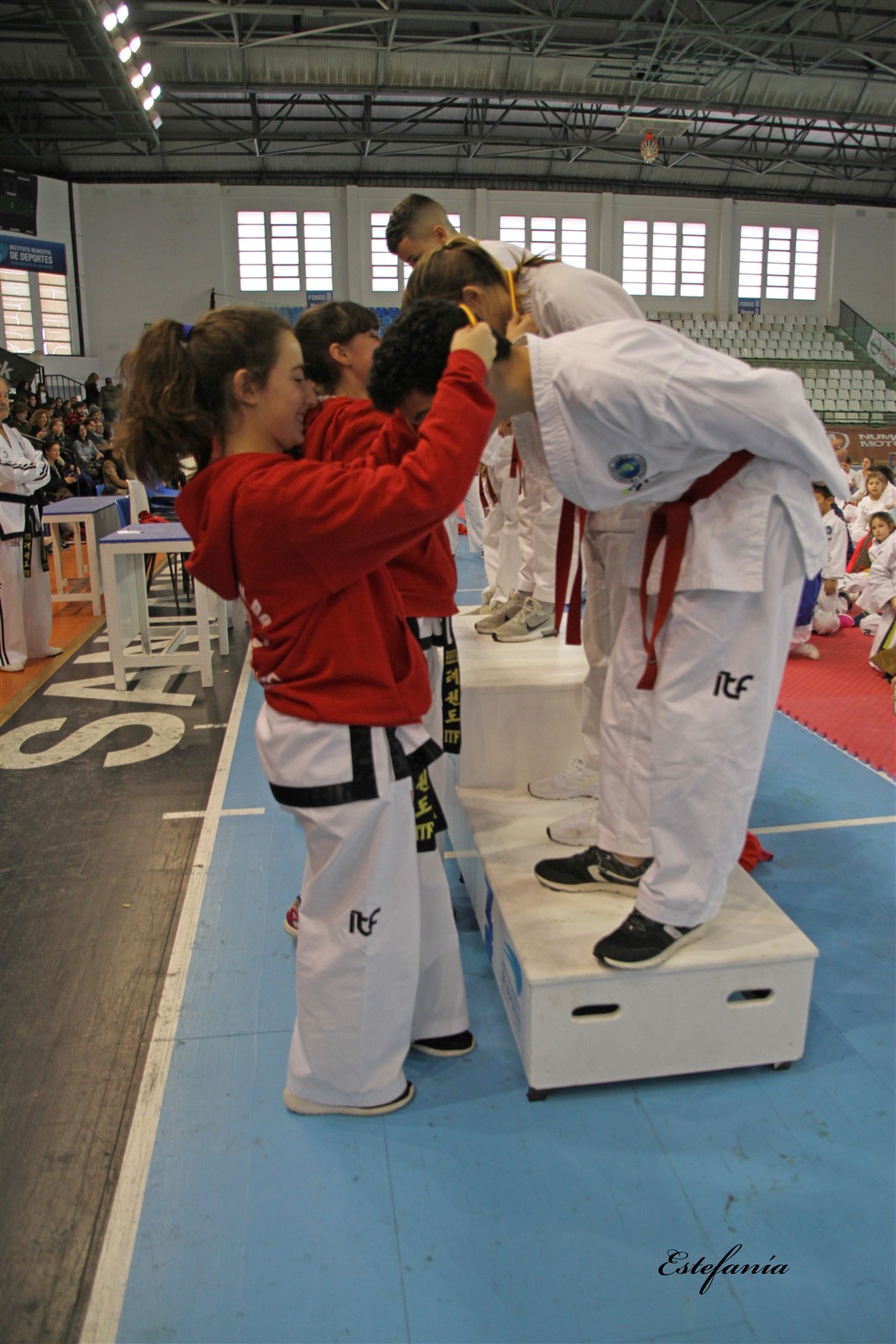 Taekwondo (267).jpg